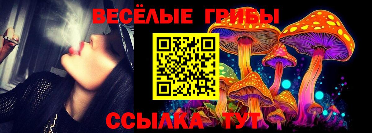 где продают наркотики  Галлюциногенные грибы мухоморы  Вход с VPN  Гусь-Хрустальный 